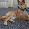 イケメンけんた！ サムネイル3