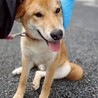 イケメンけんた！ サムネイル4