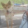 イケメンけんた！ サムネイル5