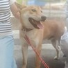 イケメンけんた！ サムネイル6