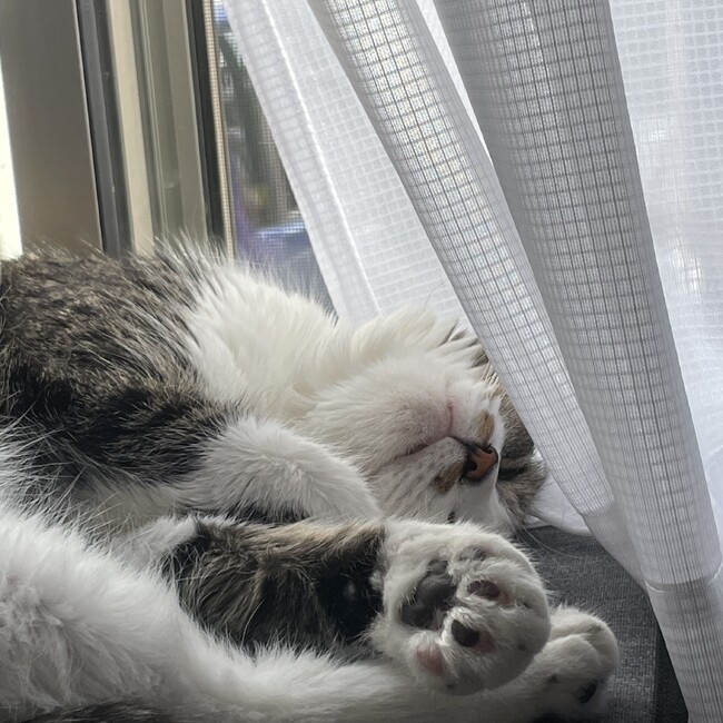 valのカバー写真