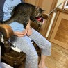 人馴れ120%！驚きに懐こさ！ サムネイル6