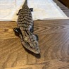 ご協力ありがとうございます　募集一旦停止します サムネイル3