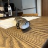 ご協力ありがとうございます　募集一旦停止します サムネイル4