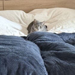 はるる君が卒業しました