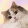 ぴゅり さん