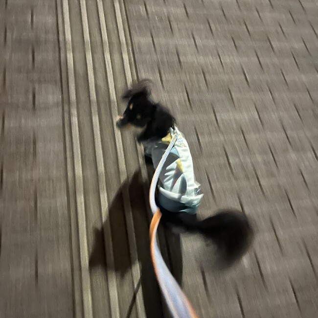 ao__のカバー写真