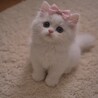 ほうせきの真珠