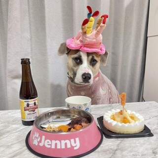 アメリカンブリー 女の子