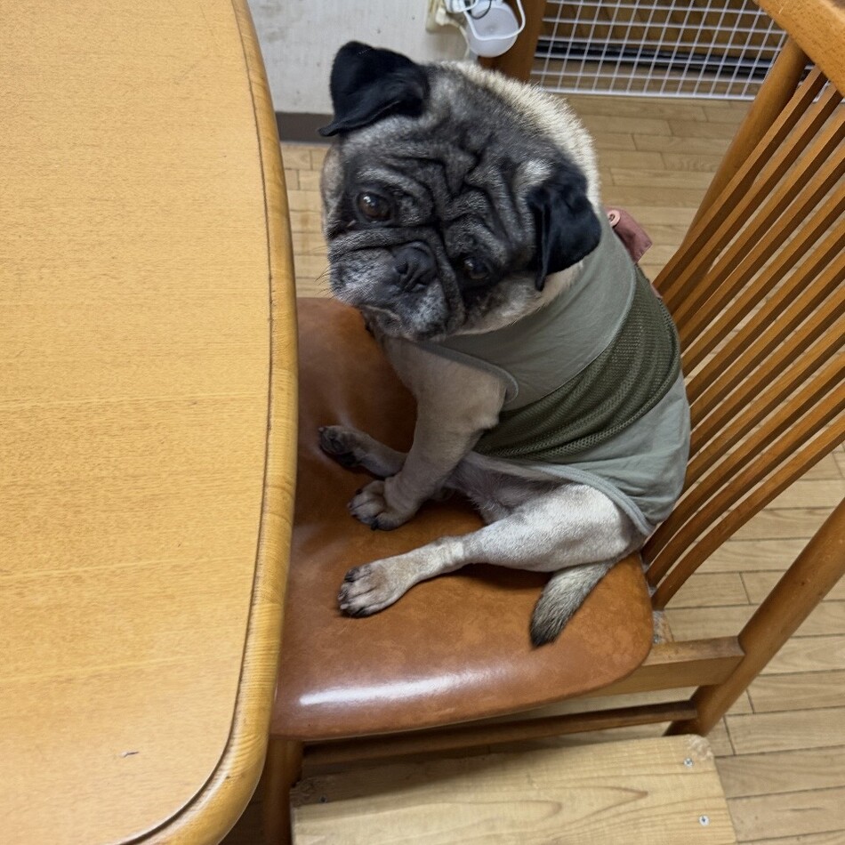 大翔のカバー写真
