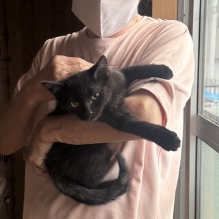 兄妹で保護された★ウリくん????