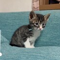 あおくん