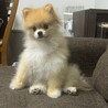 りょーーさん