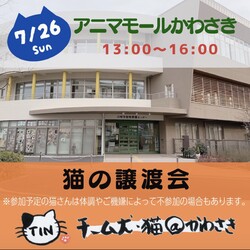 アニマモール譲渡会