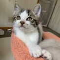 お膝大好きな甘えん坊君