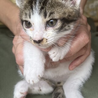 リーフです　　ちょいビビリです