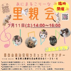 あにこり猫の里親会 サムネイル1