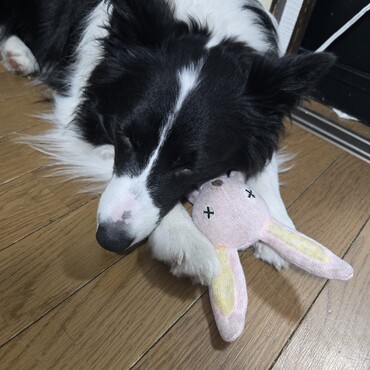 の写真