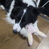 の写真