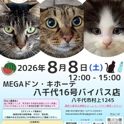 花ねこ譲渡会 サムネイル1