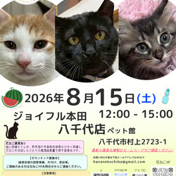 花ねこ譲渡会