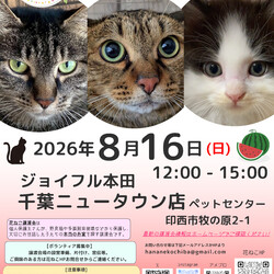 花ねこ譲渡会