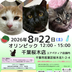 花ねこ譲渡会