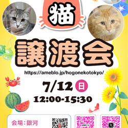 ほごねこ東京譲渡会＠駒込　駒込駅徒歩7分