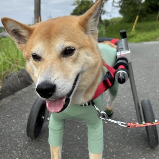 ハンデがあっても元気いっぱい