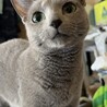 たま111 さん