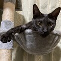 ノアちゃん引き取って欲しいです。