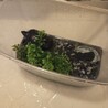 クサガメ里親さん募集 サムネイル3
