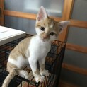 生後3か月の男の子①