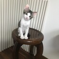 生後3か月の男の子③