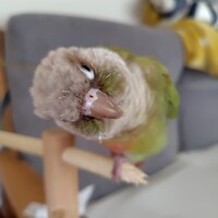くうさん