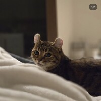 みお