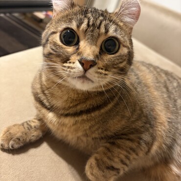 の写真