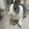  さん