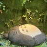 菜の花のりんご