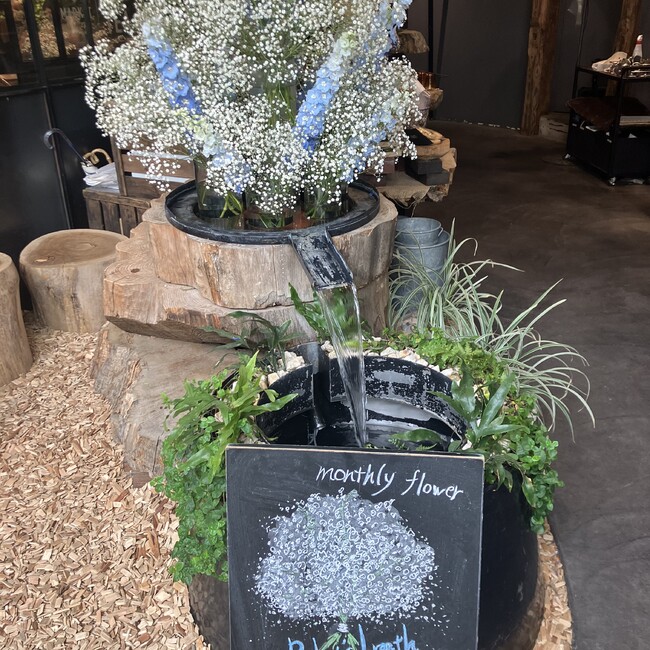 菜の花のりんごのカバー写真