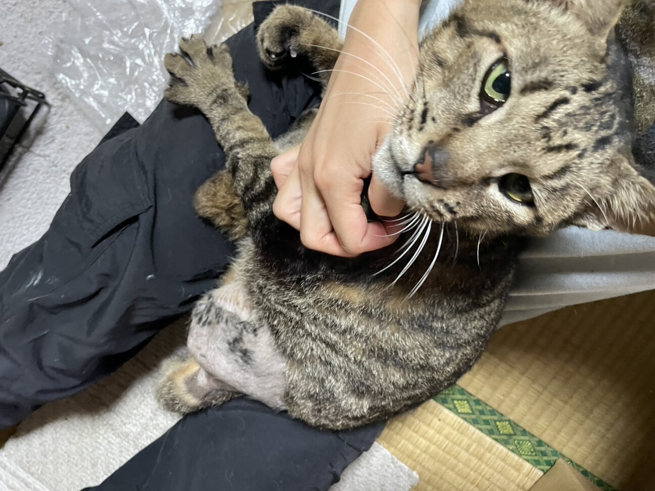 ジャンプ