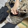 ジャンプ