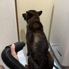 シニアの甘えん坊ブルース！