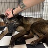 シニアの甘えん坊ブルース！ サムネイル5