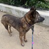 シニアの甘えん坊ブルース！ サムネイル6