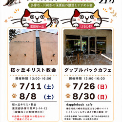 東京都多摩市聖蹟桜ヶ丘にて保護猫譲渡会開催