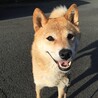 じゅんたん13