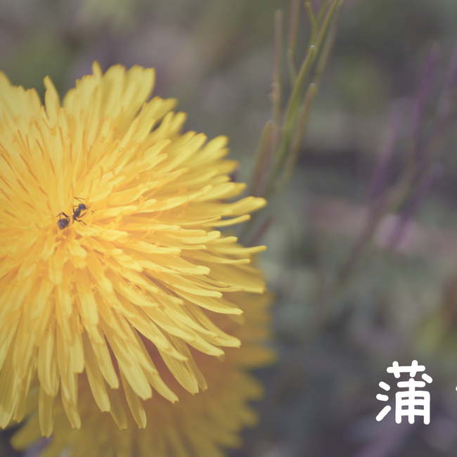 ならざきさとるのカバー写真