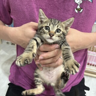 4/25生まれの4きょうだいカルステッド