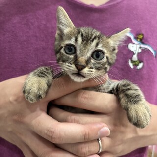 4/25生まれの4きょうだいフェリーネ